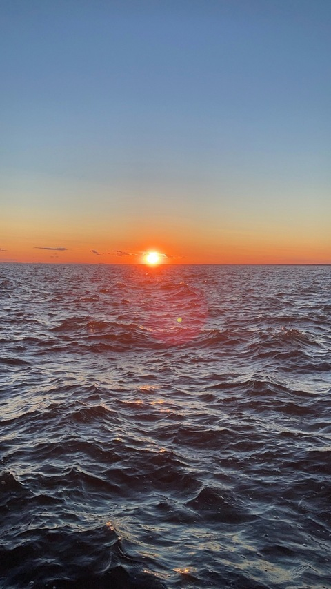 OnlyFansヘッダー写真 tattedbkbttm_13