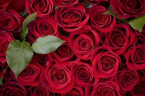 Снимка на заглавие на OnlyFans tattedmami407