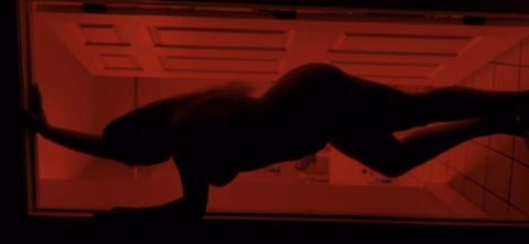 Снимка на заглавие на OnlyFans taylorbabe105