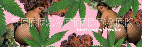 OnlyFans हेडर तस्वीर teresafterdark