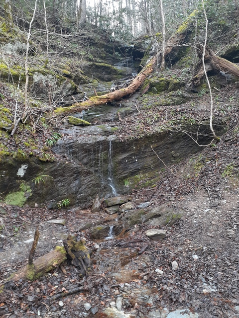 Снимка на заглавие на OnlyFans thatsstoner