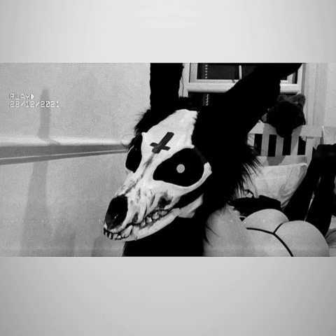 Obraz nagłówka OnlyFans thelewdbunny