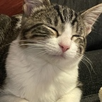 Profilbild von OnlyFans theprincessb