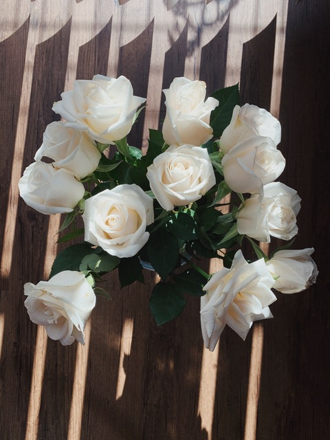 Imagen de encabezado de OnlyFans de theprincessb