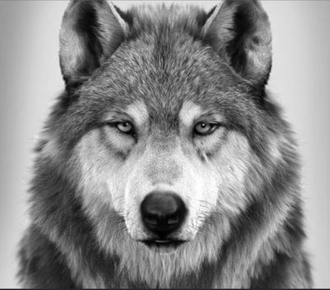 Imagem de cabeçalho do OnlyFans thetidland