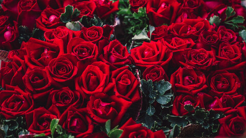 صورة رأس OnlyFans thisiscaroline