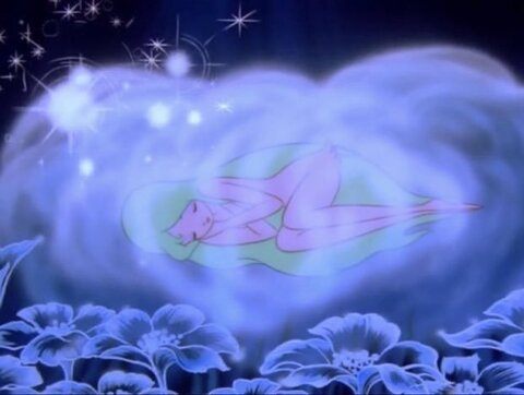 Imagem de cabeçalho do OnlyFans thumbalinaxxx