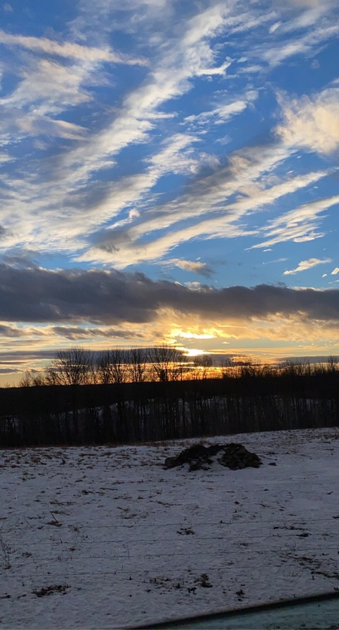 OnlyFans हेडर तस्वीर tits.mcgee