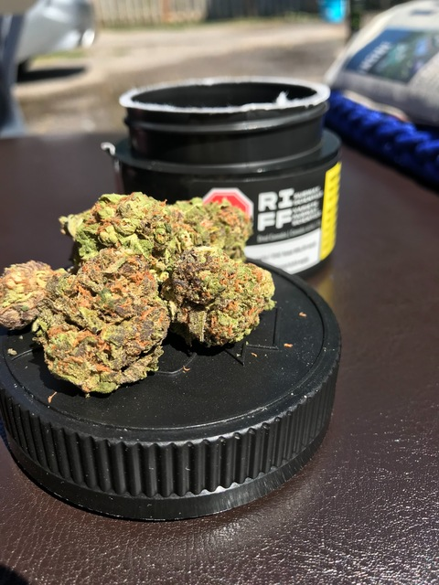 Immagine di copertina OnlyFans tokkiethehuman