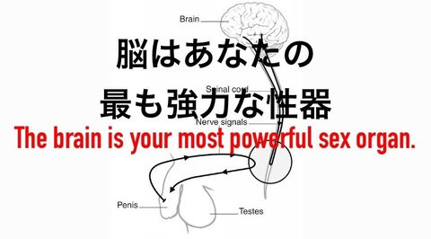 Imagen de encabezado de OnlyFans de toshi011