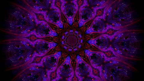 OnlyFans kopafbeelding trans_qveen