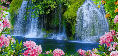 OnlyFans हेडर तस्वीर transgoddess4