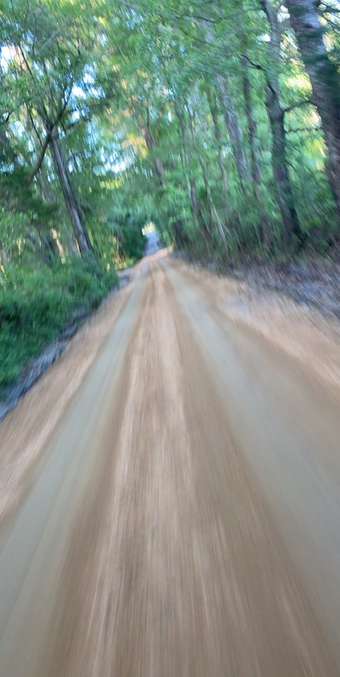 OnlyFans üst resmi treyce