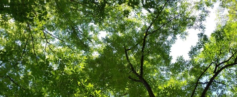 Imagen de encabezado de OnlyFans de tsrosemarie