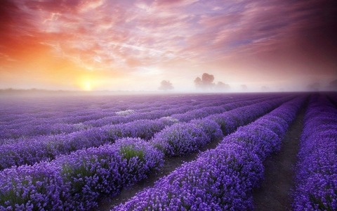 Obraz nagłówka OnlyFans tsuminoumi