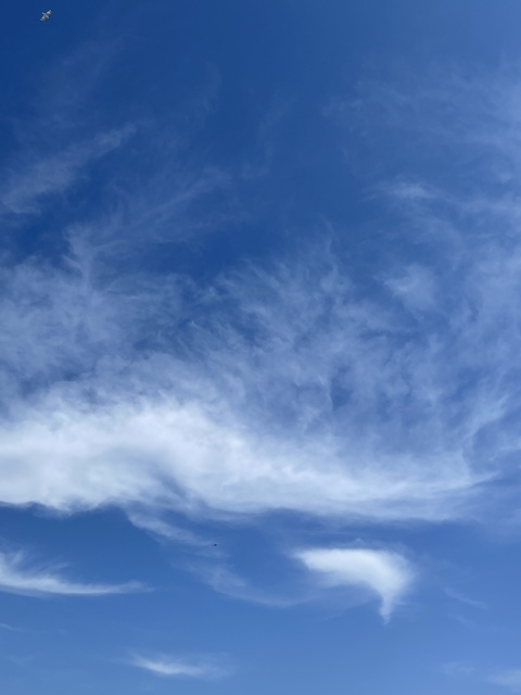 OnlyFans Titelbild twinkgetsnaked