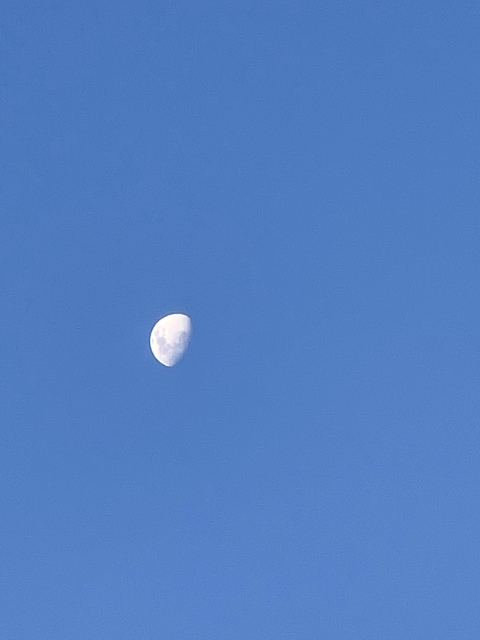 OnlyFans Titelbild twsexx