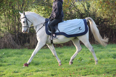 Gambar header OnlyFans u164676892