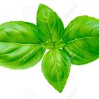 OnlyFans profil resmi u21349926