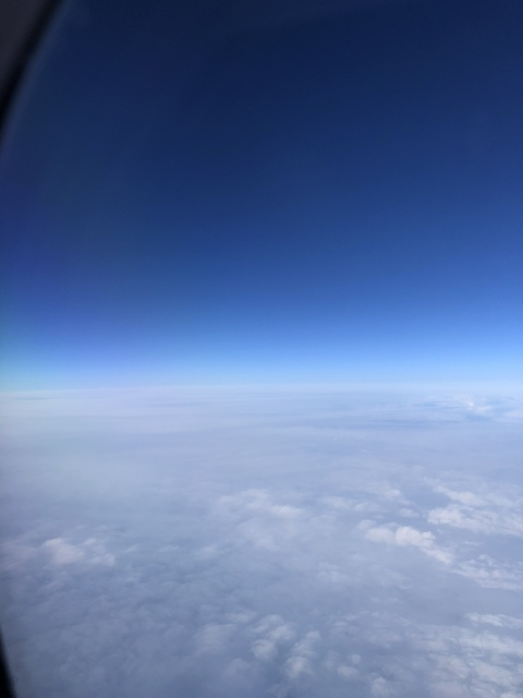 OnlyFans Titelbild under_83