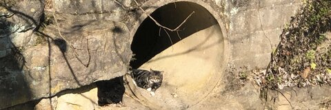 Снимка на заглавие на OnlyFans undreamed