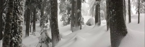 صورة رأس OnlyFans urfairyfaee