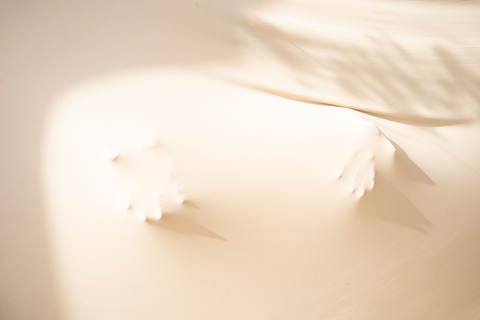 OnlyFans üst resmi usaguisamy