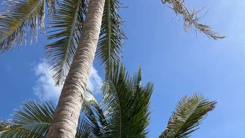 Изображение шапки OnlyFans valrual