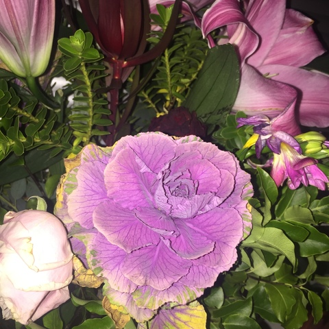 صورة رأس OnlyFans vampyveen