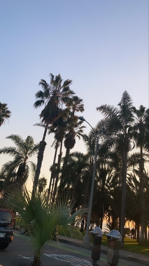 Gambar header OnlyFans vanillabeanyaya