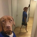 Photo de profil OnlyFans de vava974