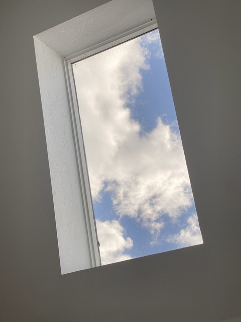 Gambar header OnlyFans venus_inreverse