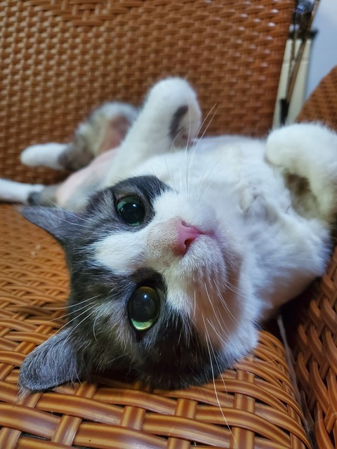 Снимка на заглавие на OnlyFans vesper