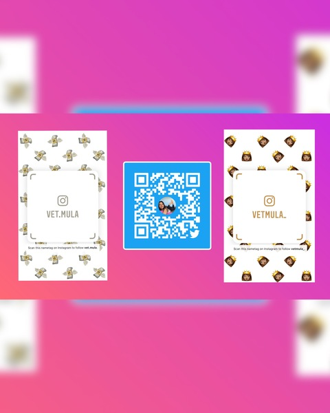 OnlyFans 헤더 사진 vetmula