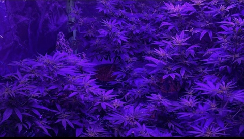 Imagem de cabeçalho do OnlyFans vibewithissa