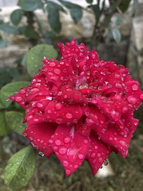 OnlyFans üst resmi vicariousfuck