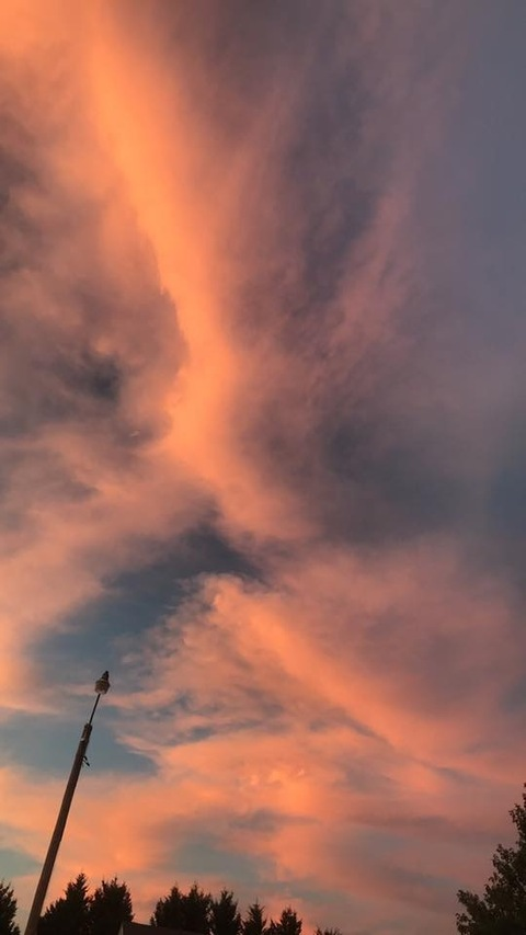 OnlyFans हेडर तस्वीर victoriaxxx420