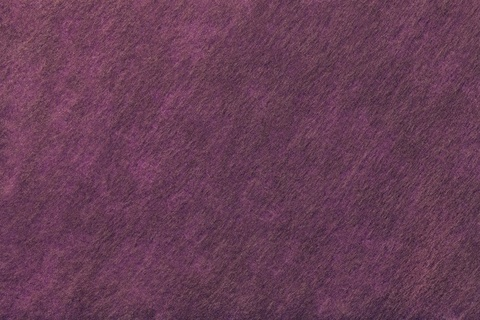 Image d'en-tête OnlyFans viiolettt