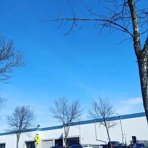 Immagine di copertina OnlyFans viktoriahordyke