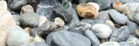 Immagine di copertina OnlyFans vinegartiger