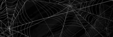 Gambar header OnlyFans violetreigncb