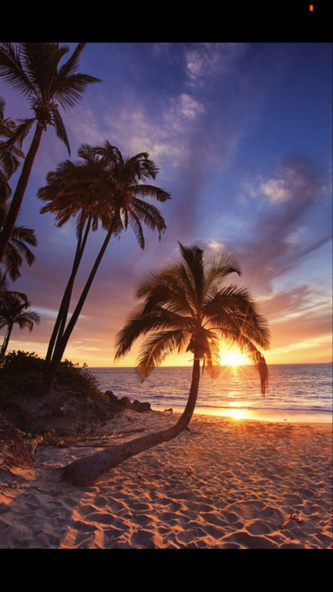 Снимка на заглавие на OnlyFans virag