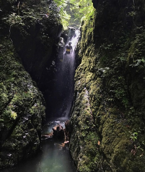 Image d'en-tête OnlyFans wavyyd