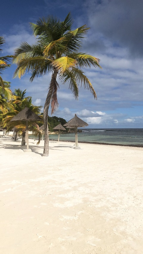 Gambar header OnlyFans westindiesflavour