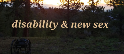 OnlyFans हेडर तस्वीर wheelchairvvulfie