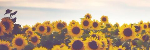 صورة رأس OnlyFans whitpb1