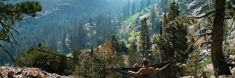 Image d'en-tête OnlyFans whoislogan