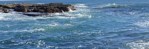 Imagen de encabezado de OnlyFans de wildkat888