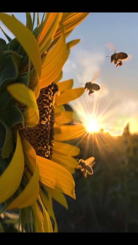 OnlyFans हेडर तस्वीर wtf_sarah