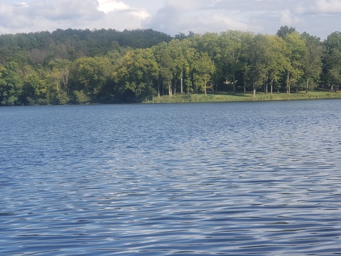 OnlyFans 헤더 사진 wvugirl